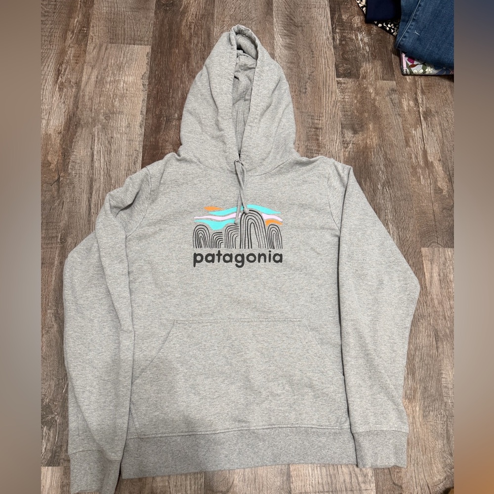 Patagonia Sweatshirt